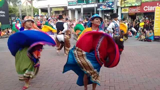 Grupo de danzas Tradi Arte (Ecuador). Carnaval 2020. Puyo – Pastaza.