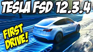 Tesla FSD 12.3.4 First Drive - Keeps Getting Better!