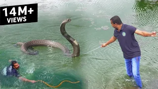 खतरनाक रेस्क्यू ऑपरेशन, खेत तालाब में गिरे 2 सांप Rescue 1 Cobra and 1 Rat snake from Ahmednagar