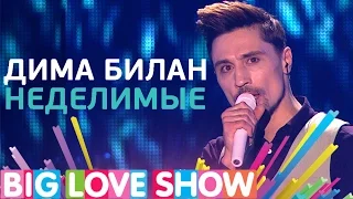 Дима Билан - Неделимые [Big Love Show 2017]