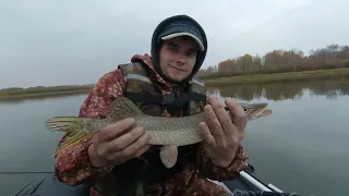 Ловим щуку с напарником на Загадочном Озере.