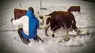 Candide Thovex charged by a COW