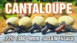 Pistols VS Cantaloupe .22lr .380acp 9mm .40s&w .45acp