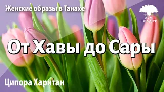 Урок для женщин. От Хавы до Сары: путь в 2000 лет. Ципора Харитан