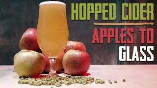 Apples to Glass - How to Make Hopped Hard Cider - Mosaic Hops