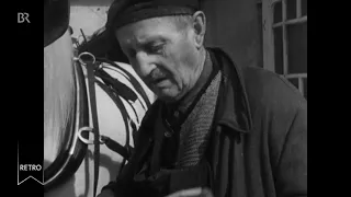 BR Retro: Münchens ältester Fiaker · Ein Leben für die Pferde Doku (1962)