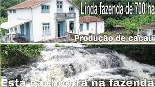 Linda fazenda de 700 Hectares, produtora de cacau. Boa infraestrutura e uma bela cachoeira