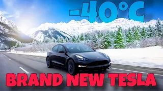 2023 Tesla Model 3 | Real Owner's 100,000km Journey in Canada | PROS & CONS