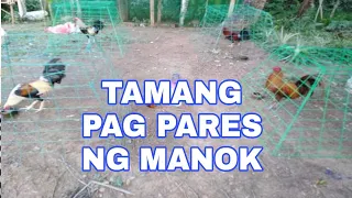 TANDAAN MO TO KA BACKYARD (ULUTAN TIPS)