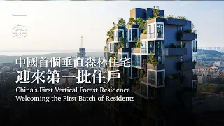 【EngSub】China's First Vertical Forest Residence Welcoming the First Batch of Residents 中國首個垂直森林住宅