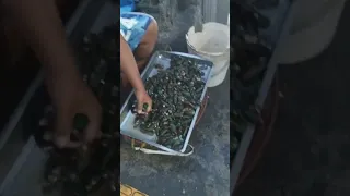 CLEANING MUSSELS AT THE MARKET #shorts #asmr #satisfying