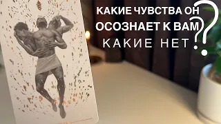 Какие чувства он осознает к вам? Какие нет?