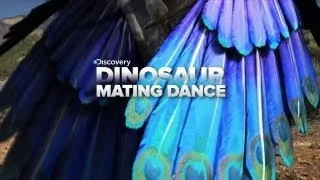 Crazy Dinosaur Mating Dance