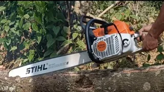 Keahlian operator chainsaw membuat balok 6cm x12cm  pokok kelapa