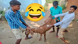 whatsapp funny video verry injection comedy video stupid boys new doctor funny video 2021 ep-1