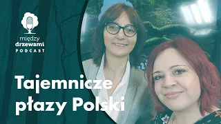 Między DrzewamI #61 Tajemnicze płazy Polski [dr Renata Krzyściak-Kosińska] | PODCAST