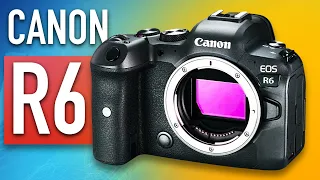 CANON R6 обзор владельца. Пример съемки