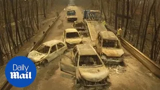 Drone footage shows devastating aftermath of Portugal forest fire - Daily Mail