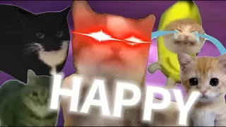⚡𝕳𝖆𝖕𝖕𝖞 𝕳𝖆𝖕𝖕𝖞 𝕳𝖆𝖕𝖕𝖞⚡| Happy Song Remix  |  Happy Cat 🎵