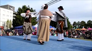 25 de Mayo del 2019 Tarde GATO PATRIOTICO el sol del 25