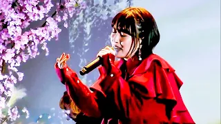 増田有華　ひとひらの花～SAKURA ver.～（klammy）（LIVE）