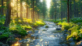 Soothing music for nerves🌿 healing music for the heart, relaxation, music for soul #6