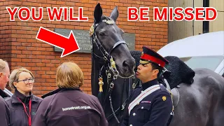 A KISS GOODBYE FROM THE HOUSEHOLD CAVALRY ♥️