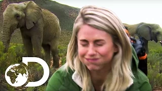 Julianne Hough Gets To Grips With Elephant Dung | Running Wild with Bear Grylls