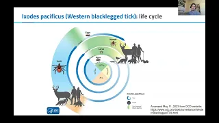 Trends in tick surveillance and tick-borne diseases in BC (BCCDC Team)