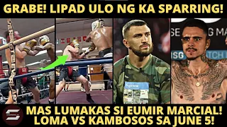 Marcial sobrang LAKAS! Bugbog LIPAD ULO Ka Sparring! Kambosos Title DEFENSE vs Loma sa Australia!