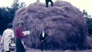 at Hay in County Roscommon 1970