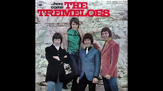 The Tremeloes - Here Comes My Baby - 1967 (STEREO in)