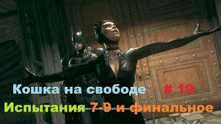 Прохождение Batman: Arkham Knight [Бэтмен: Рыцарь Аркхема] Кошка на свободе в HD # 19