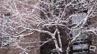 Tombe la neige - Падает снег - The snow falls