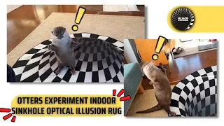 They experiment Optical Illusions Indoor Sinkhole - best indoor sinkhole prank #IndoorSinkhole #fun