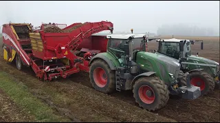 Planting, picking and packing potatoes / onions on the REŠET farm