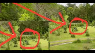 CCTV Footage Captures Real Ghost Paranormal Activity Attempting To Scare Family Off Of Their Land!