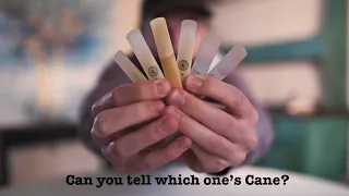 5 Synthetic Reeds vs. 1 Cane Reed, Can You Tell Which One is Cane?