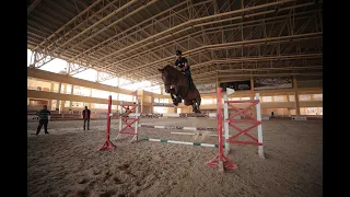 Meet the Egyptian Equestrian Riding to the 2020 Tokyo Olympic Games