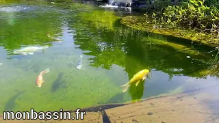 Voir un grand bassin naturel dans le nord