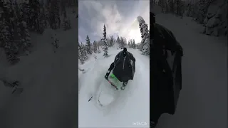 Lynx Shredder re Revelstoke BC, deep powder day