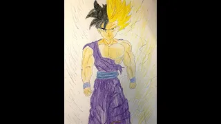 Son Drawing Son Gohan: Normal Form and Super Saiyan Transformation