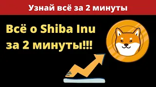 Почему ШИБА так взлетела? Все о Shiba Inu за 2 минуты!