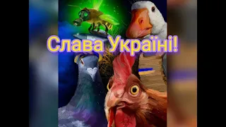 УКРАЇНСЬКІ БОЙОВІ ГОЛУБИ І ГУСИ ВИКОНУЮТЬ СПЕЦЗАВДАННЯ!!!