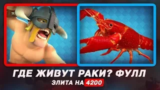 ГДЕ ЖИВУТ РАКИ? ФУЛЛ ЭЛИТА НА 4200+ КУБКОВ / CLASH ROYALE