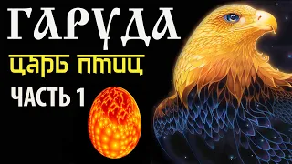 Гаруда. Царь птиц. Часть 1. Махабхарата. Спор Винаты и Кадру.