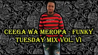 Ceega Wa Meropa - Funky Tuesday Mix Vol. VI