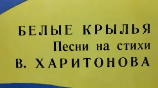 Валерий Ободзинский и гр.С.Намина: "Белые крылья"(В.Шаинский-В.Харитонов)