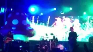 PRiMUS "Wynona's Big Brown Beaver Live Portland Maine 9" Les Claypool Larry Lalonde Tim Alexander