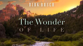 The Wonder of Life (Official Video)